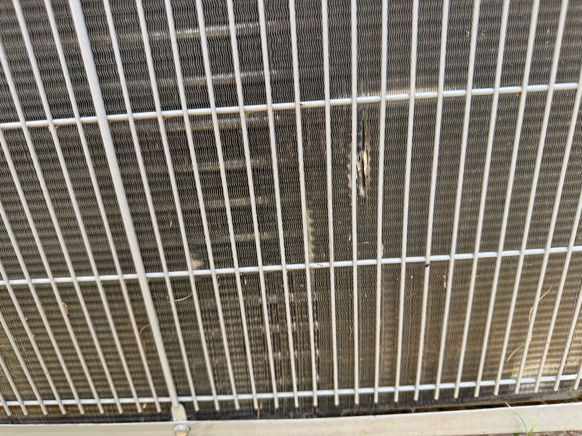Hail Damage Roof Replacement on a Texas Home image